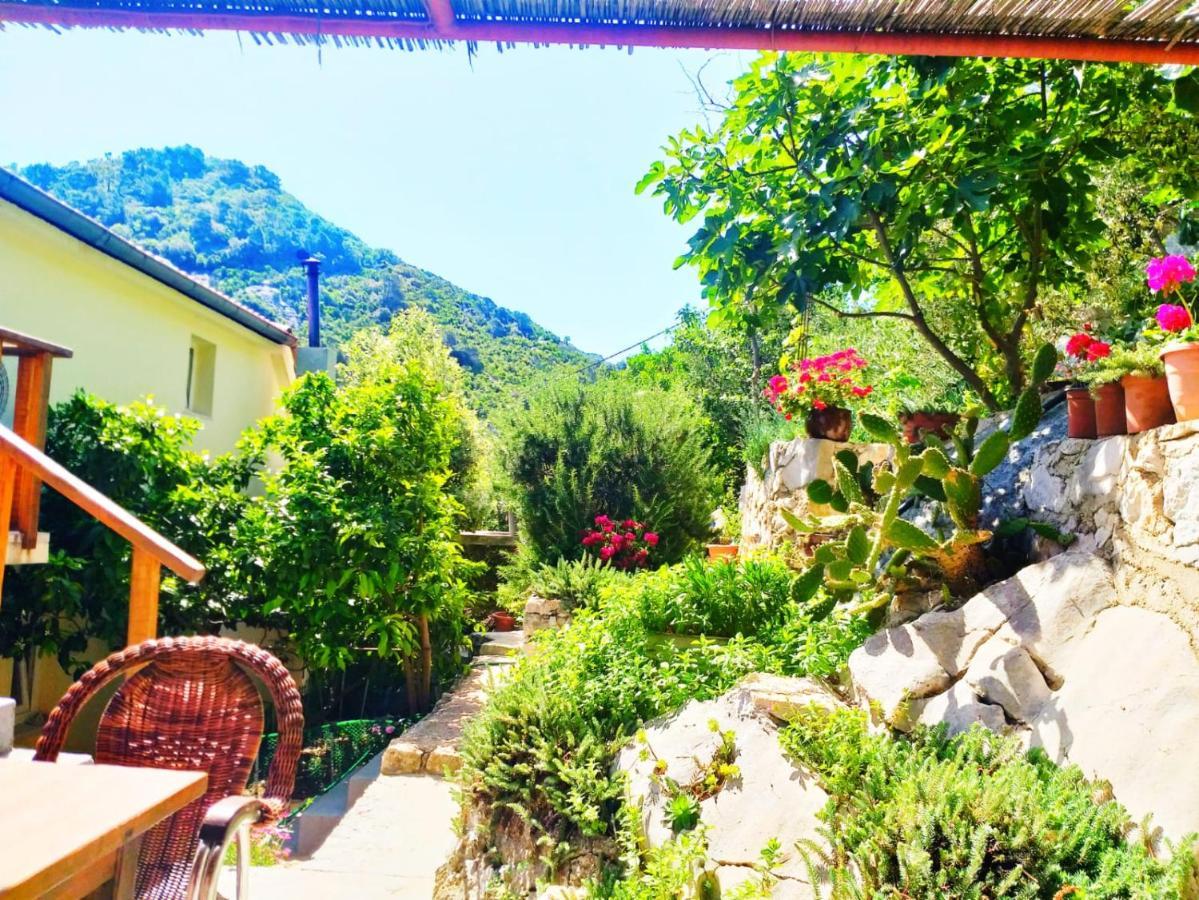 Villa Anita Sobra Exteriér fotografie