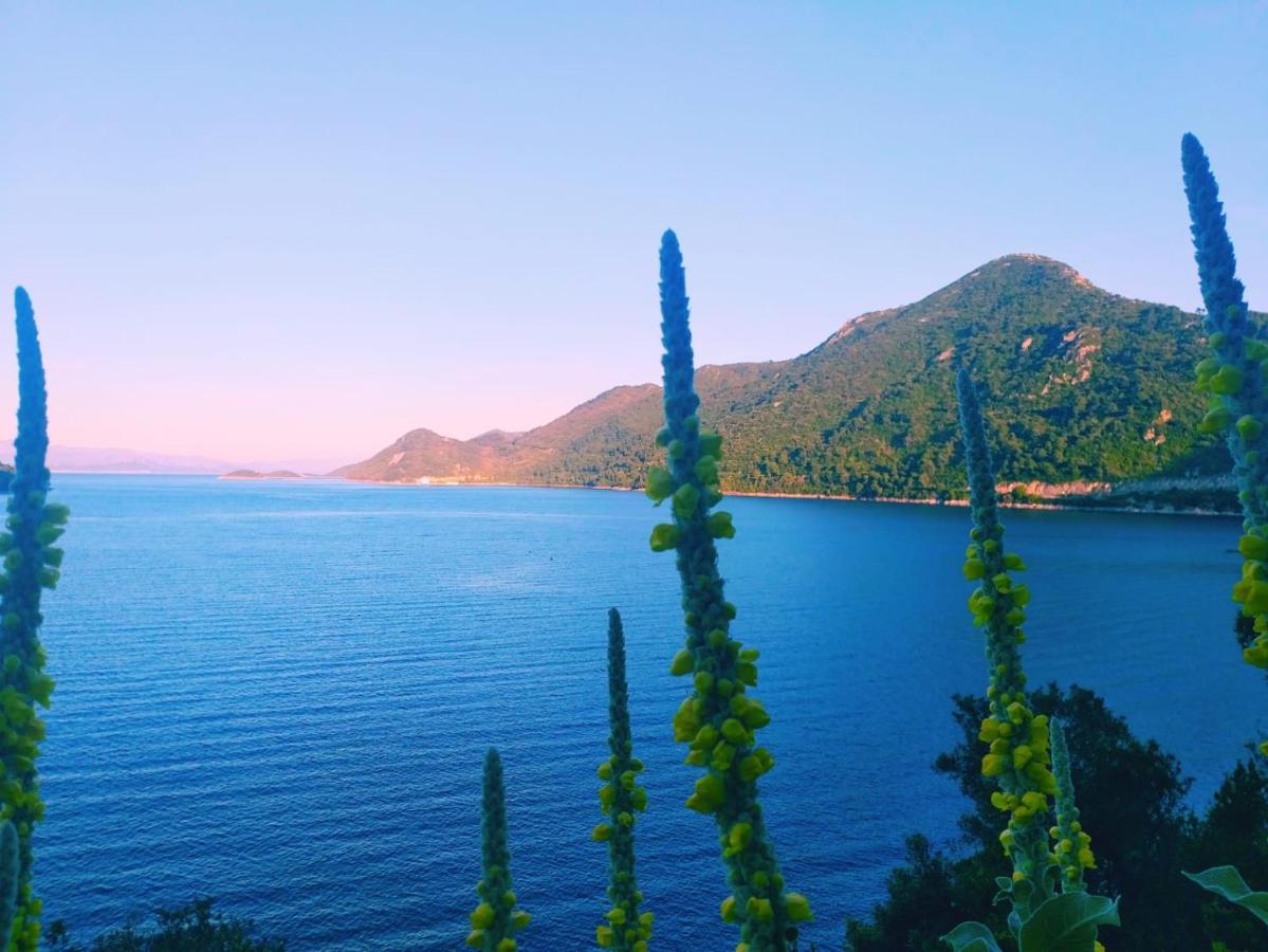 Villa Anita Sobra Exteriér fotografie